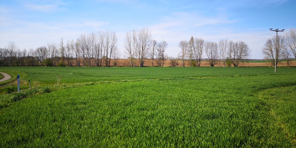 Ackerland verkaufen in Sachsen-Anhalt