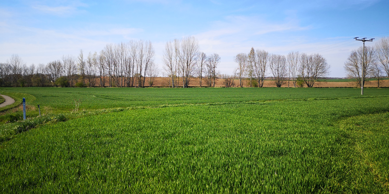 REINBOTHE Agrarimmobilien Ackerland in Sachsen Anhalt