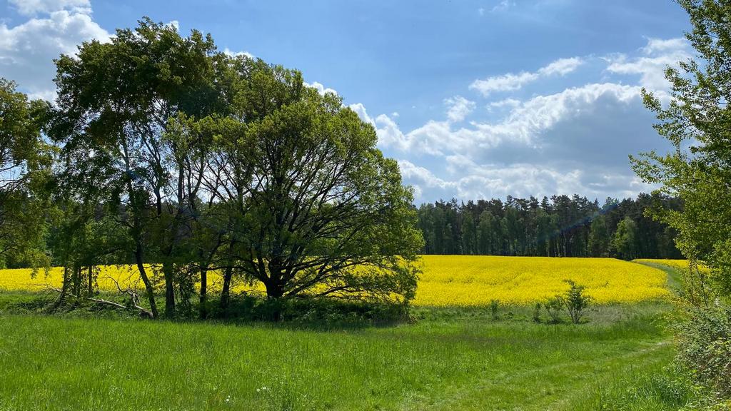 Ackerland kaufen in Mecklenburg-Vorpommern